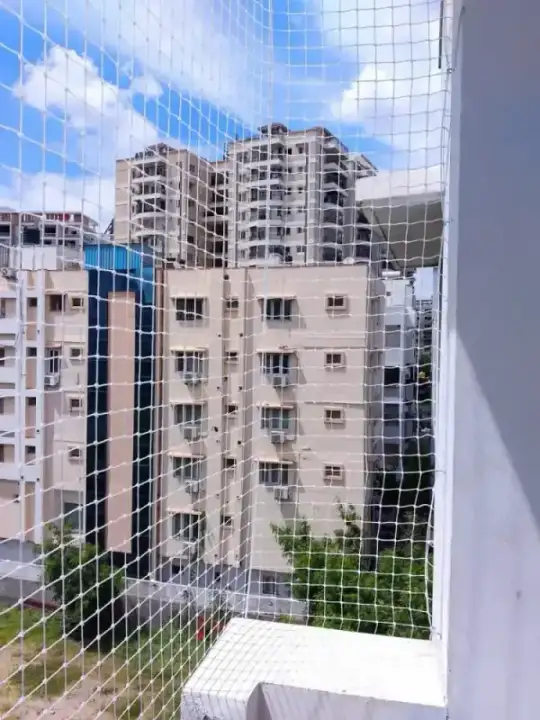 Pigeon Nets installation in Chennai โ pigeon nets service by Feather Guard Safety Nets, photo 2